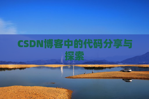CSDN博客中的代码分享与探索